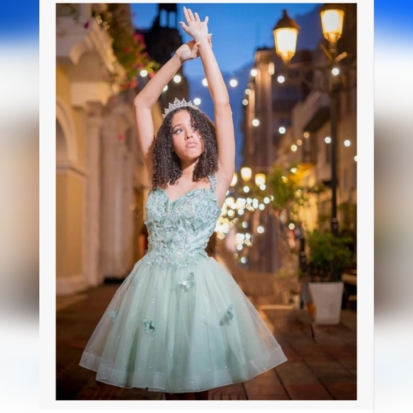 3D Butterfly Elegant Silver Embellished Dress - Picture 2 of 3